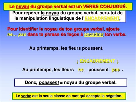 Qu Est Ce Qu Un Groupe Verbal - PPT - Le groupe verbal PowerPoint Presentation, free download - ID:4615830