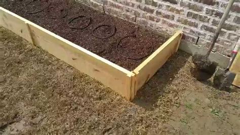 Growing Peppers 9 And Adding Raised Beds Youtube