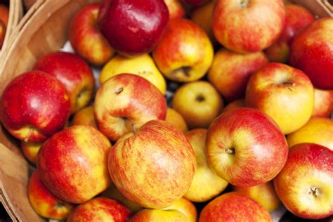 Guide To 18 Apples Varieties