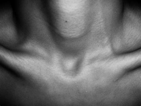 Collar Bones My Protruding Collar Bones Mikahsargent Flickr