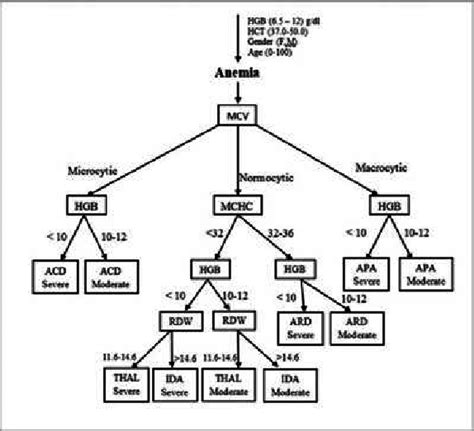 Anemia Types Classification Download Scientific Diagram