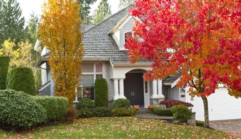 Easy Fall Landscaping Ideas 600