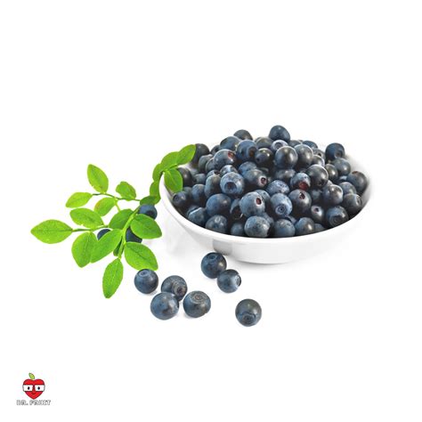 Blueberry Dr Fruit My