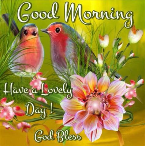 Good Morning Have A Lovely Day God Bless You Pictures Photos And