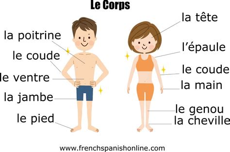 This Week Learn The Vocabulary Of The Body In French Googl