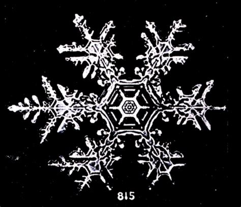 The First Snowflake Photographs