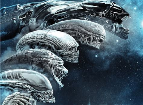 What are the best alien films of all time? First Look at 'Alien' Six Film Collection and 'Alien ...