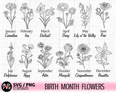 Birth Month Flower Svg Birthday Flower Svg Wildflower Svg - Etsy