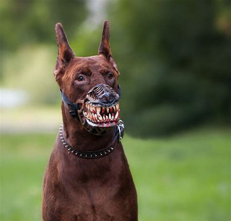 Werewolf Dog Muzzle Adjustable With Scary Teeth Dog Muzzle Zombie All