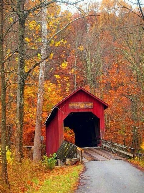 Covered Bridge In The Fall Makes Me Longing For New England Fall