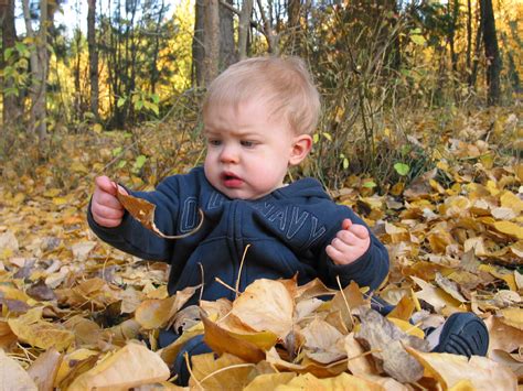 Children Playing In Autumn Leaves Wallpapers High Quality Download Free