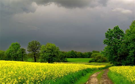 Clouds Over Country Road Hd Wallpaper Background Image