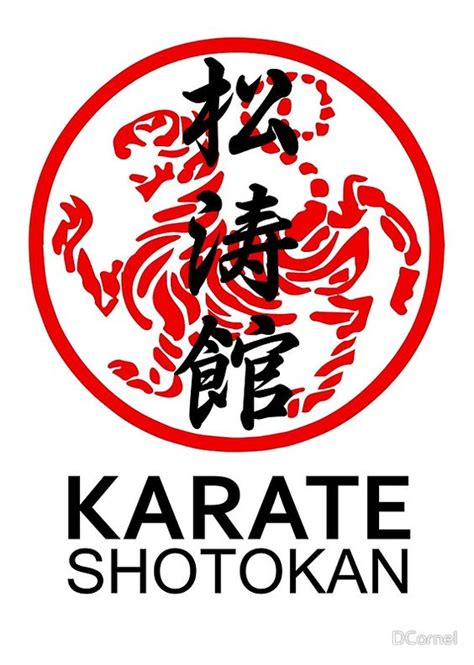 Best Of All 26 Shotokan Karate Katas Shotokan Kanji Kyokushin Ryu Katas