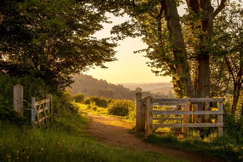 Hintergrundbilder Natur Landschaft England Sommer Beleuchtung