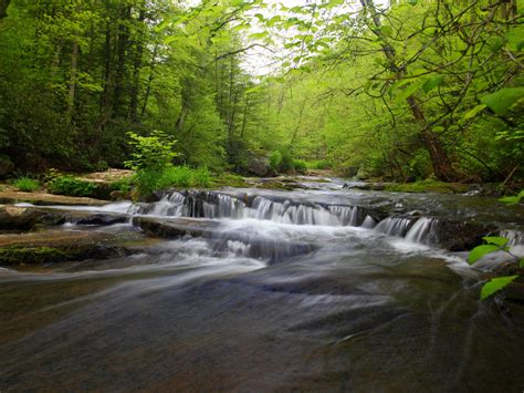 West Virginia Us State Forest Stream Waterfalls Mill Greek Desktop