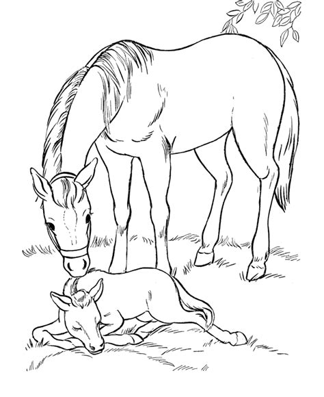 Mare And Foal Horse Coloring Pages Horse Coloring Books Farm Animal