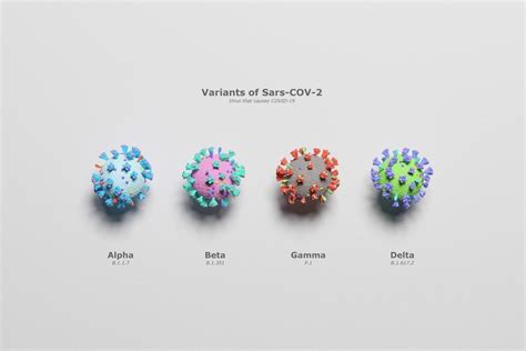 A Test To Identify Antibody Effectiveness Against Covid 19 Variants