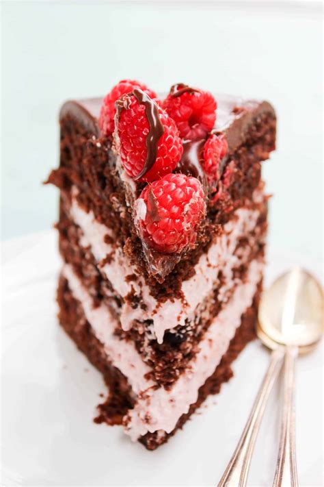 Chocolate Raspberry Layer Cake Story Dash Of Sanity