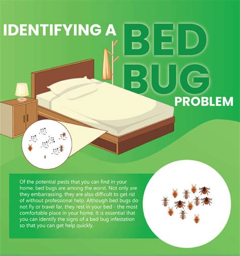 Identifying A Bed Bug Problem Infographic Infographic Plaza
