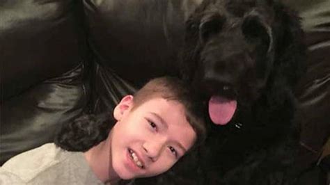 Disabled Boy Kicked Off Flight When Service Dog Is Too Big Latest