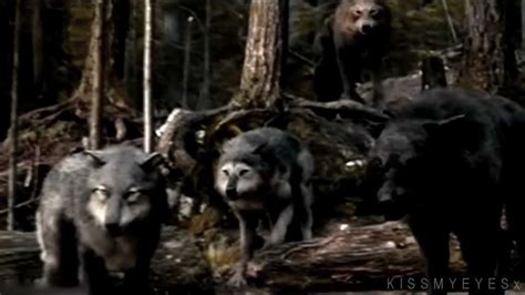 Twilight Saga • Wolf Pack Youtube