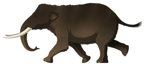 Tepua Dwarf Elephant Liera Speculative Evolution Wiki Fandom
