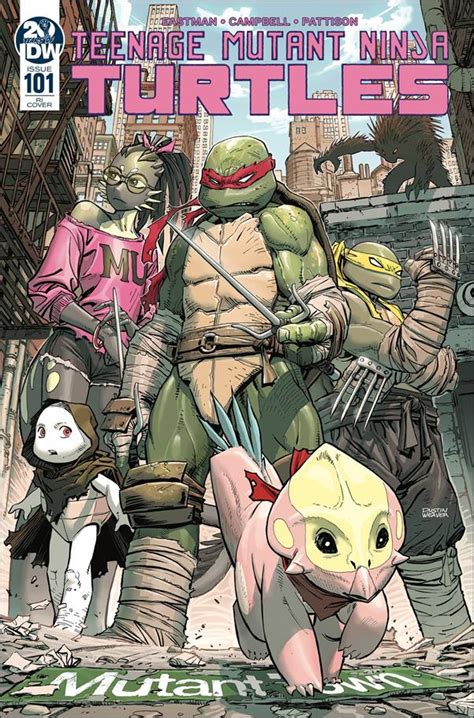 Teenage Mutant Ninja Turtles 101 C Jan 2020 Comic Book By Idw