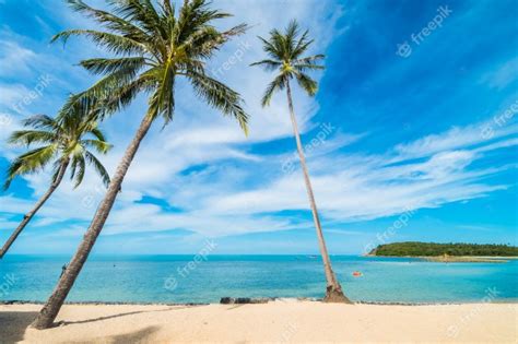 Beautiful Tropical Beach Sea And Sand With Coconut Palm Tree On Blue
