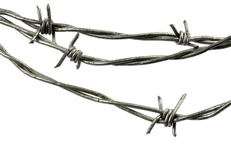 Barbwire Png Image Purepng Free Transparent Cc0 Png Image Library