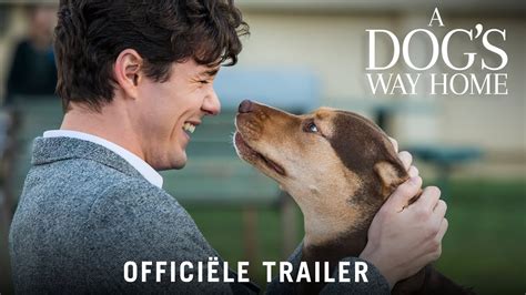 With phillips lord, effie palmer, frank albertson, bette davis. A Dog's Way Home - HD trailer - YouTube