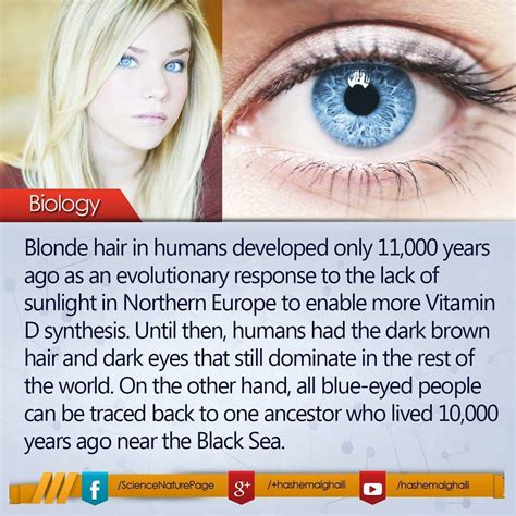 Blonde Hair Facts Blonde Hair Blue Eyes Wow Facts Wtf Fun Facts Random Facts Uber Facts