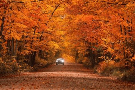 11 michigan towns with stunning fall foliage