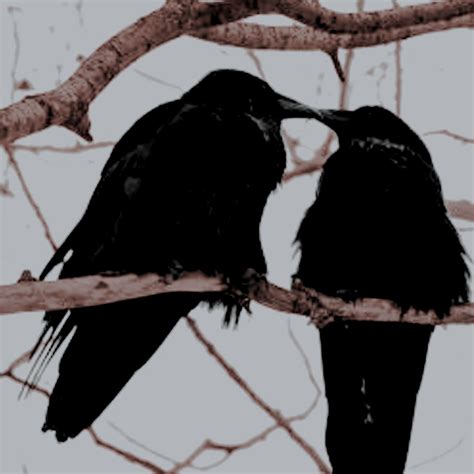 Pin De 🌷 En ⋰˚ Lit Six Of Crows Licántropo Vampiros Vampire Diaries