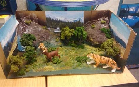 Desert Biome Box Biomes Project Ecosystems Projects Science Projects