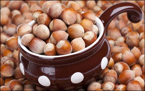8 Different Types Of Nuts With Enormous Health Benefits Snack On