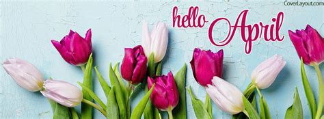 Hello April Fresh Tulips Facebook Cover Facebook