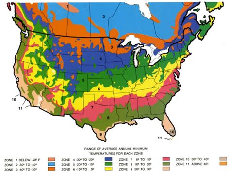 Planting Zones North America
