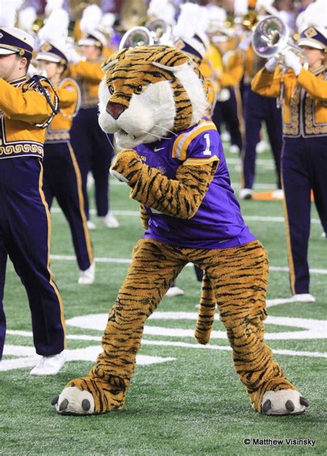 Mike The Tiger Lsu Mascot