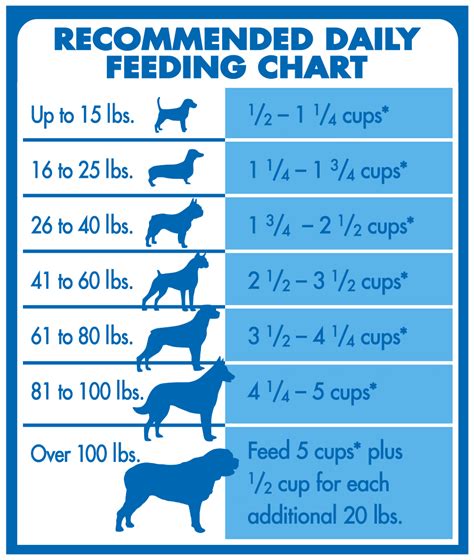 Transition any cat from to a species appropriate raw meat diet! How Much Dry Food To Feed Cat - Cat and Dog Lovers