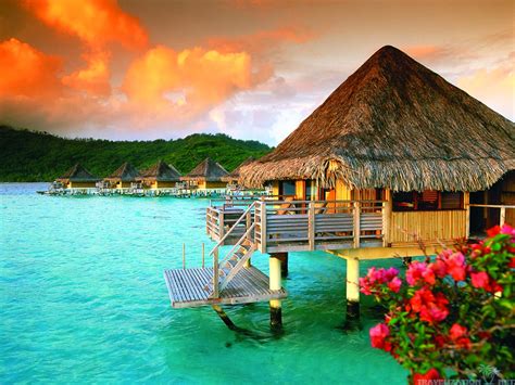 free download beach bungalows on the tropical island wallpaper beach wallpapers [1920x1200] for