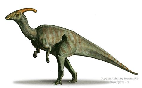 Parasaurolophus Wiki Prehistórico Fandom Powered By Wikia