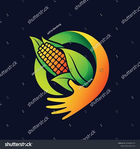 Sweet Corn Preservation Logo Sweet Corn Stock Vector Royalty Free