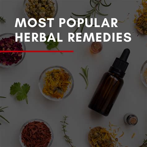 Most Popular Herbal Remedies