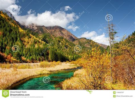 Beautiful Green River With Crystal Clear Water Among Fall Fields Stock