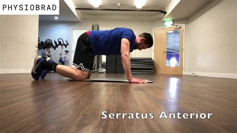 Serratus Anterior Exercise Youtube