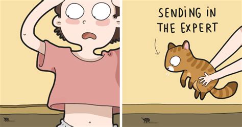 Every Cat Owners Life Perfectly Illustrated In 40 Funny