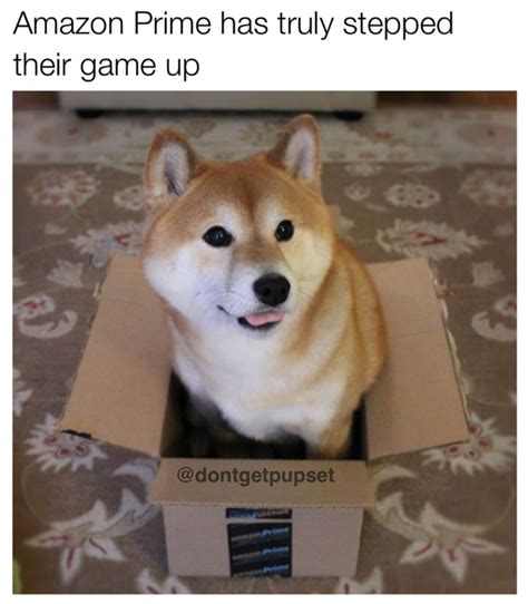 30 Dog Memes For A Positive Day Puppers Included Shiba