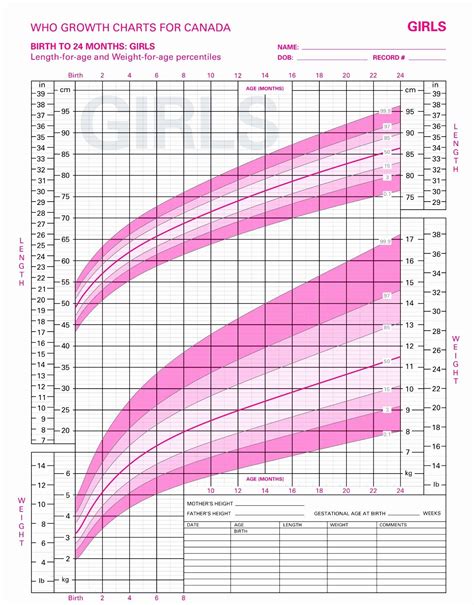 Growth Chart Female 0 36 Months