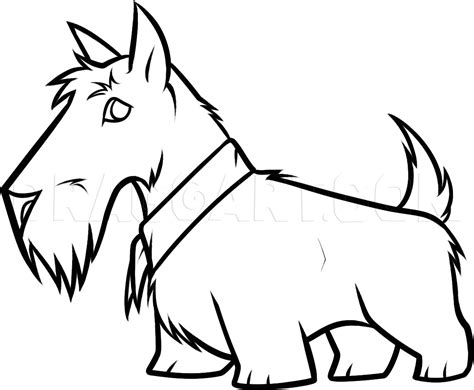 How To Draw A Scottie Scottish Terrier Step By Step Drawing Guide