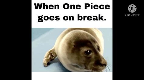 Crying Seal Meme By A One Piece Fan Youtube
